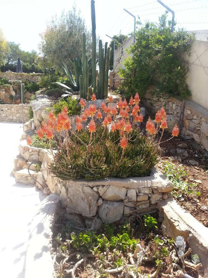 Villa Cà del Mar Morciano di Leuca Esterno foto
