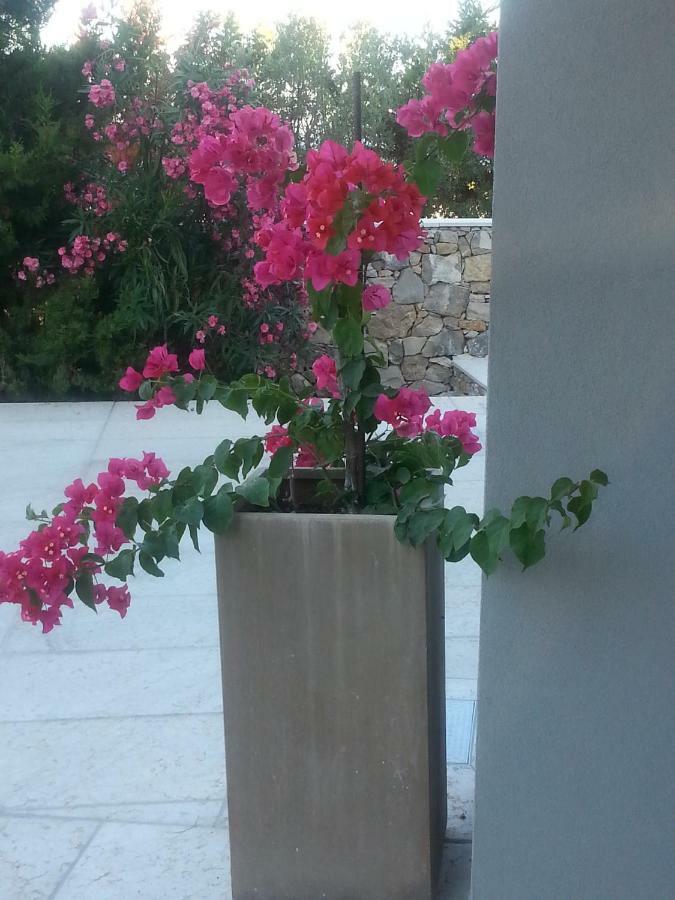 Villa Cà del Mar Morciano di Leuca Esterno foto