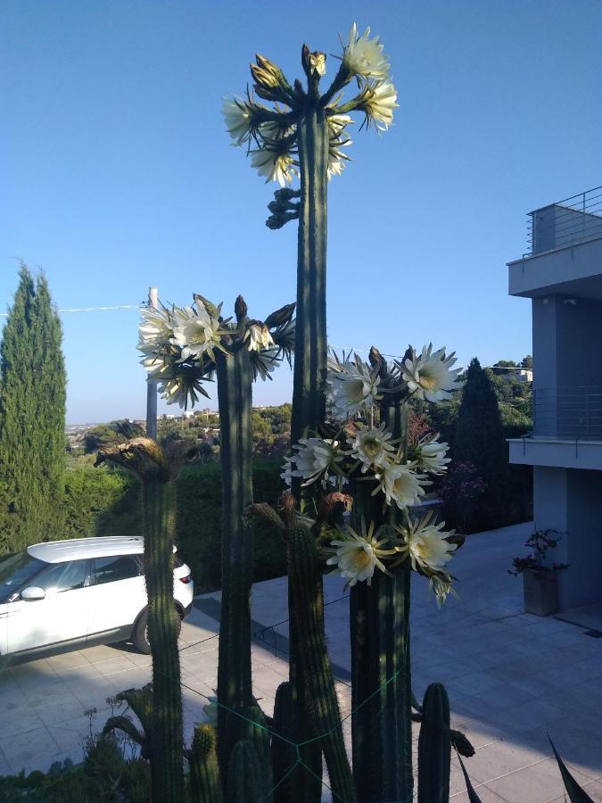 Villa Cà del Mar Morciano di Leuca Esterno foto